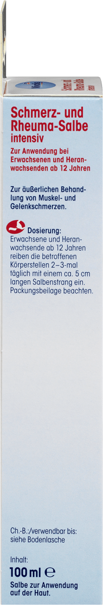 Pain and Rheumatism Ointment