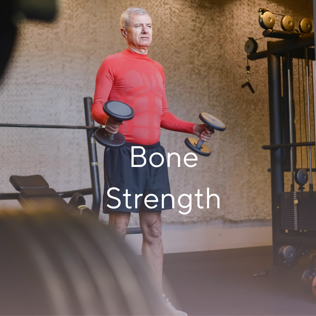 Bone Strength